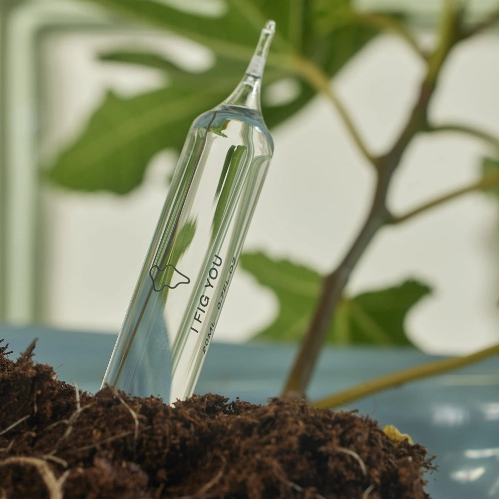 EAU DE PARFUM - I FIG YOU