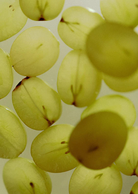 THE BOTANICAL BODY SET