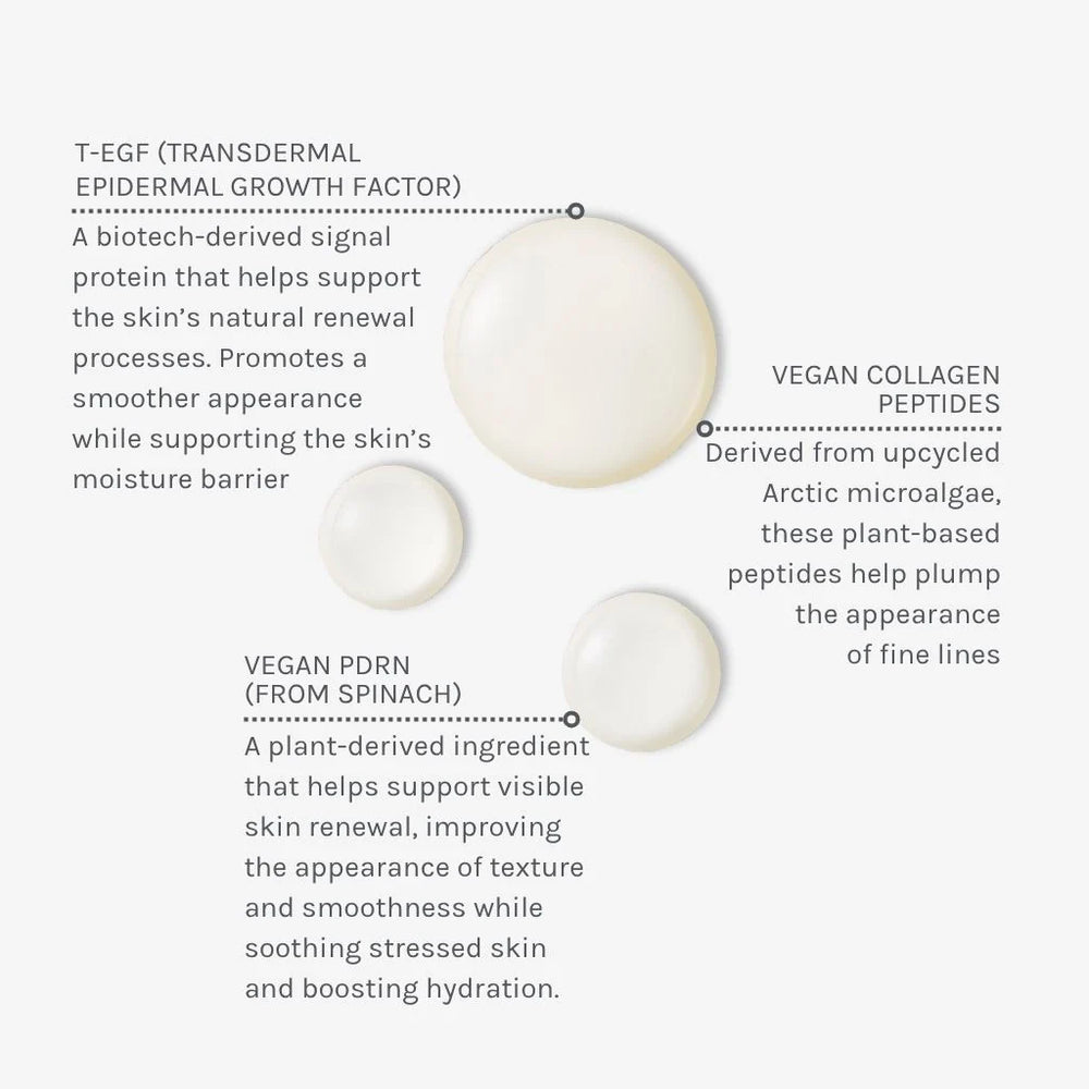 EGF+ COLLAGEN RENEWAL BOOSTER