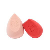 BIO ALL-BEAUTY SPONGES