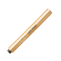 FLASHLIGHT CONCEALER