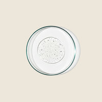 ENERGIZE BODY CLEANSER
