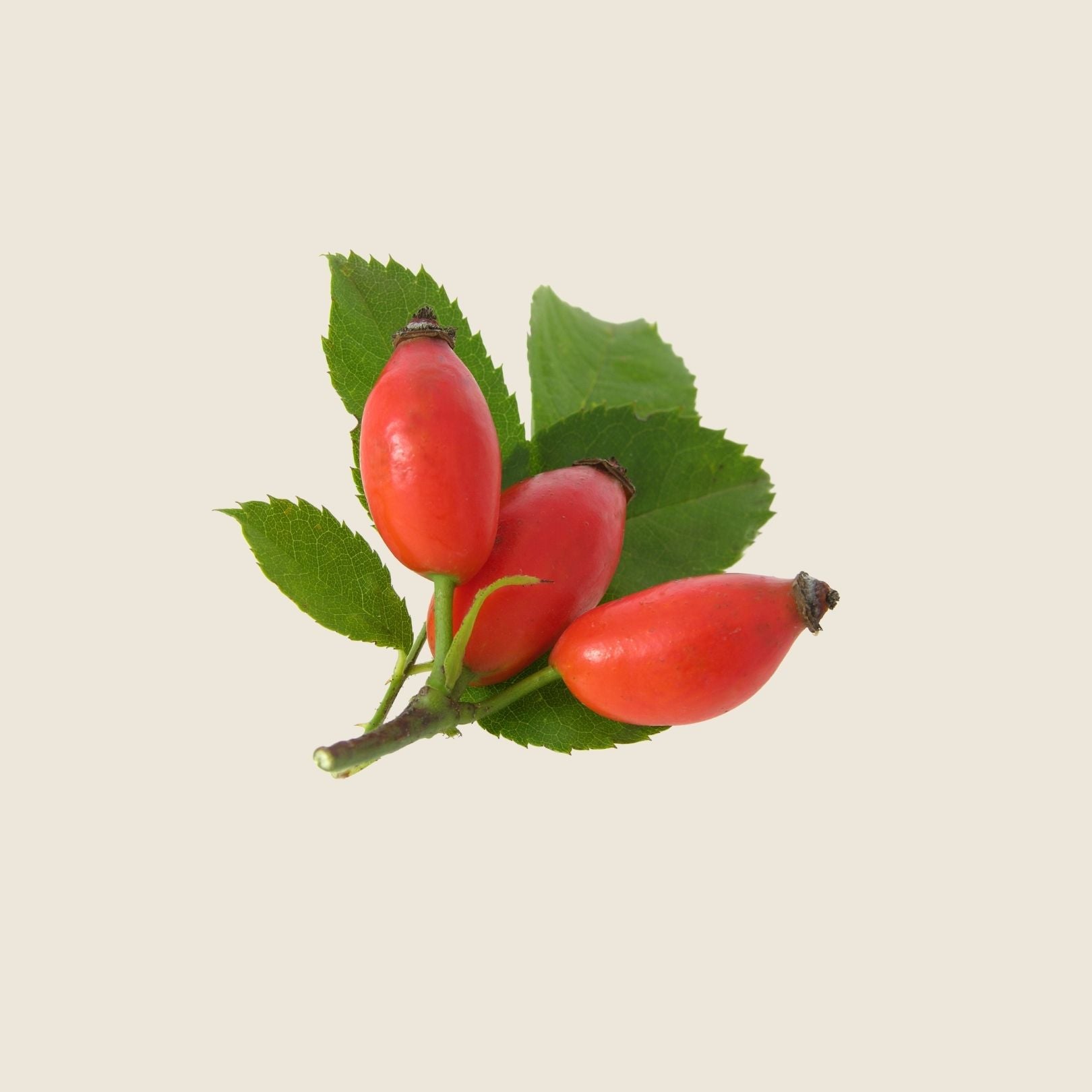 CLEVER NIGHT REMEDY - ANTI-AGING TREATMENT