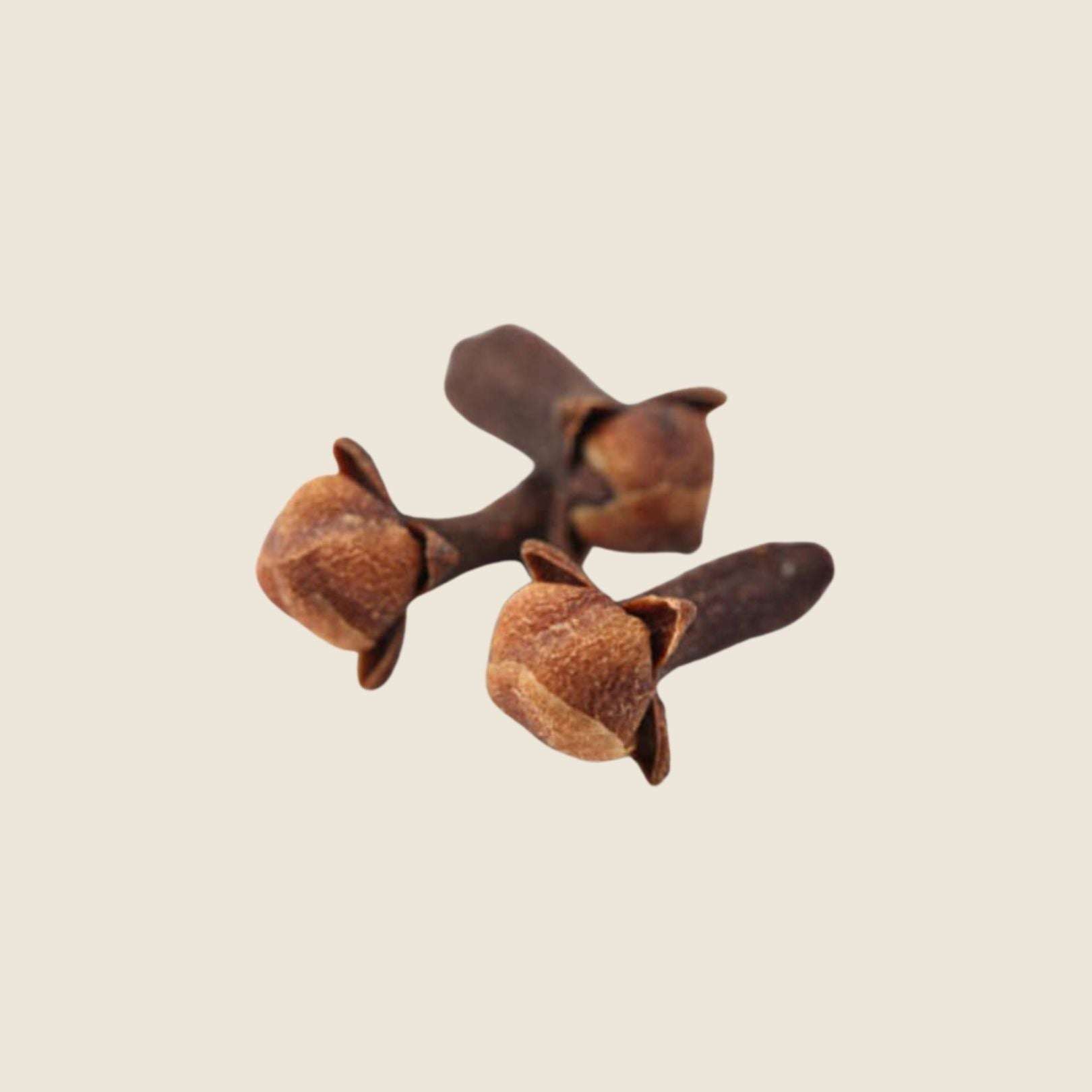ESSENTIAL OIL CLOVE