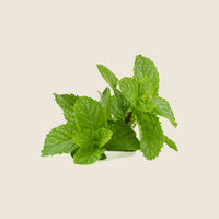 SKIN WASH - PEPPERMINT