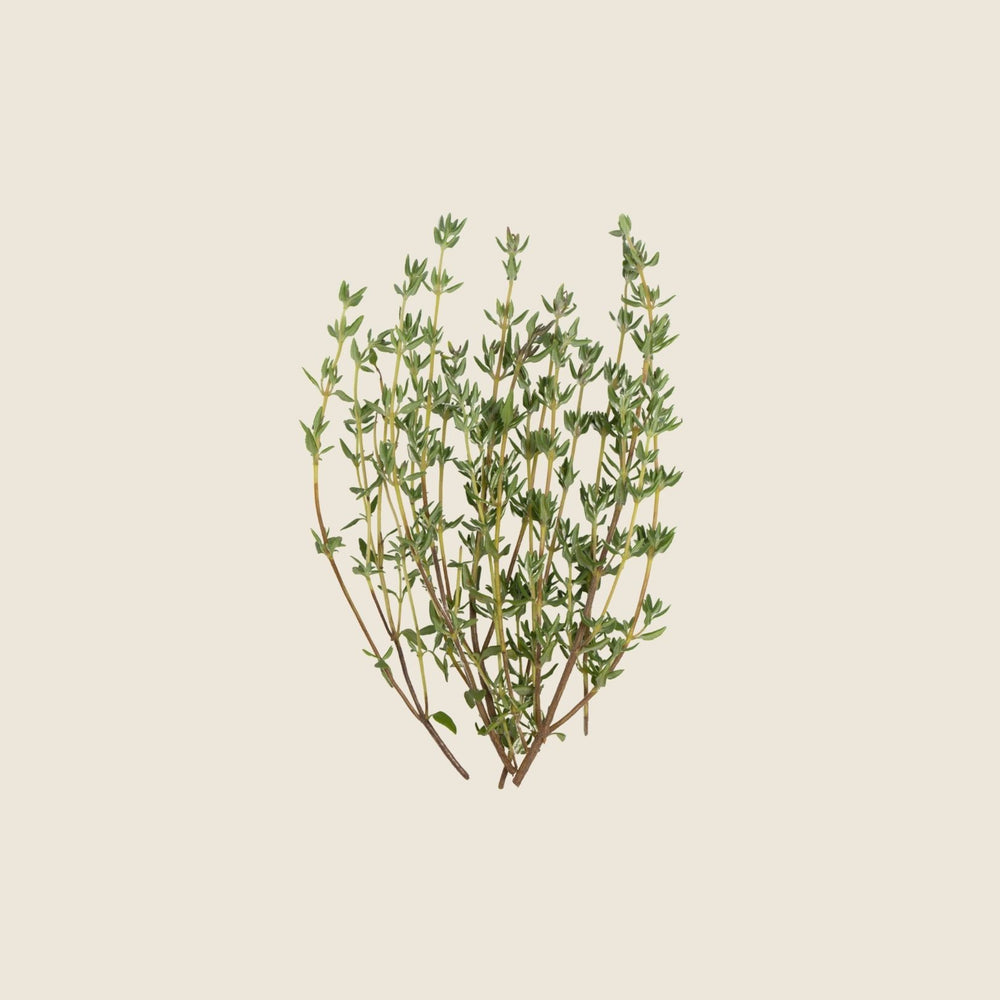 SKIN WASH THYME